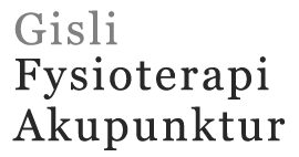 Gisli Fysioterapi - Akupunktur logo